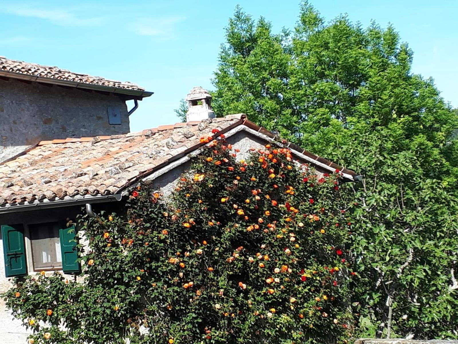 La Corte Bonomini Bed & Breakfast Neviano degli Arduini Dış mekan fotoğraf