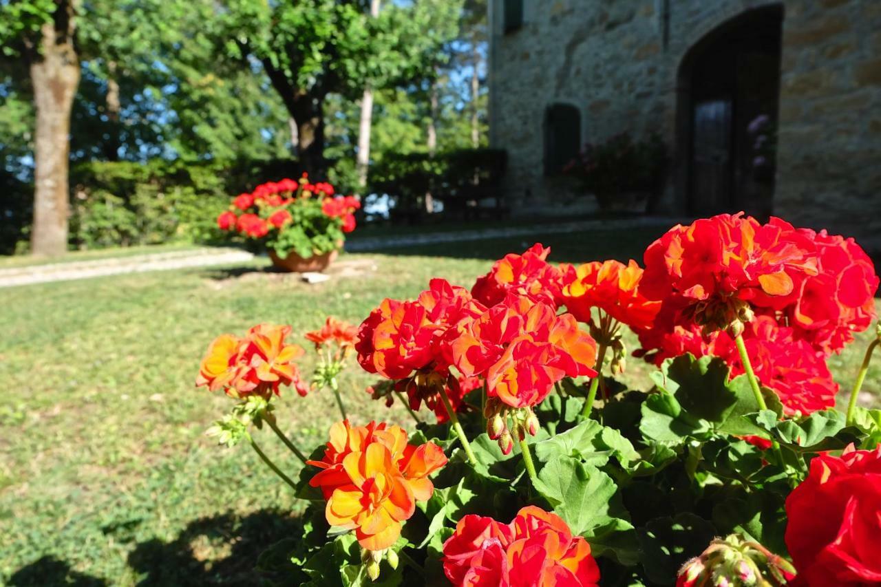 La Corte Bonomini Bed & Breakfast Neviano degli Arduini Dış mekan fotoğraf